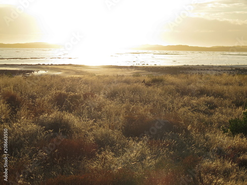 sunset landscape meningie, Australia photo