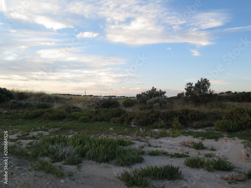 Meningie landscape  South Australia