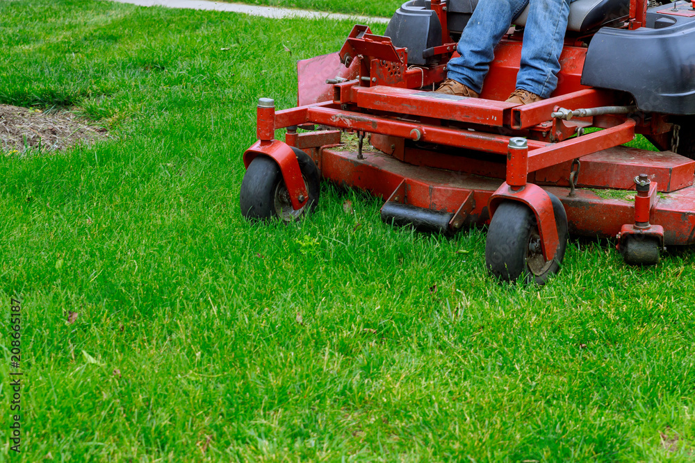 Obraz premium Landscaping Professional Gardener with Large Large of mower cutting the grass