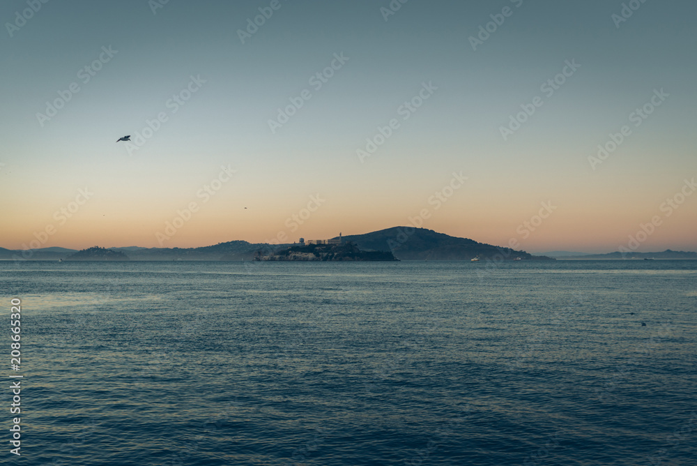 seagull is flying on the ocean in san francisco seagull is flying on the ocean in san francisco