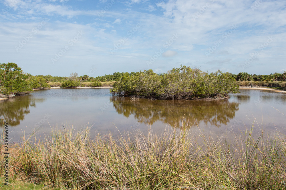 Bailey Tract