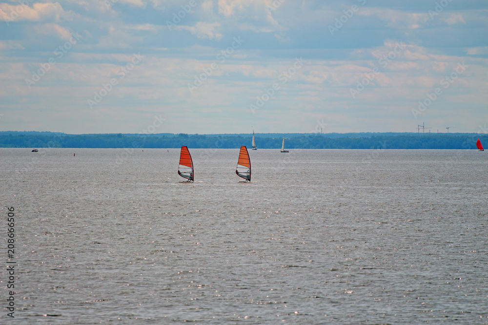 sailing boards with red sails in the sea