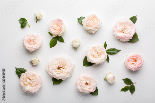 Floral pattern made of pink roses and green leaves on white background. Flat lay, top view. © LyubaAlex