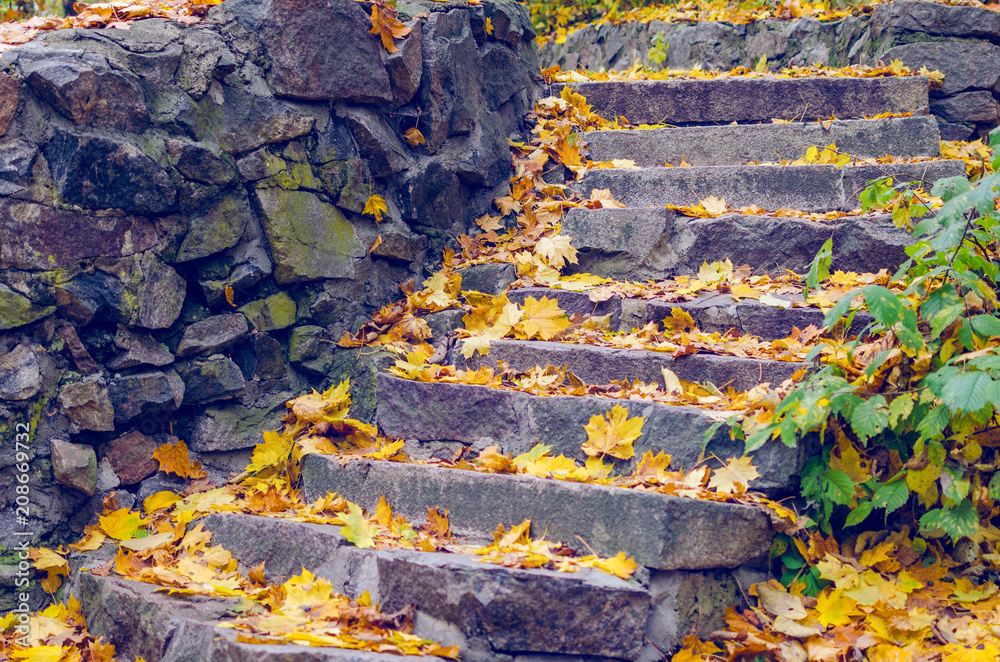 Obraz premium Stone steps strewn with yellow autumn leaves