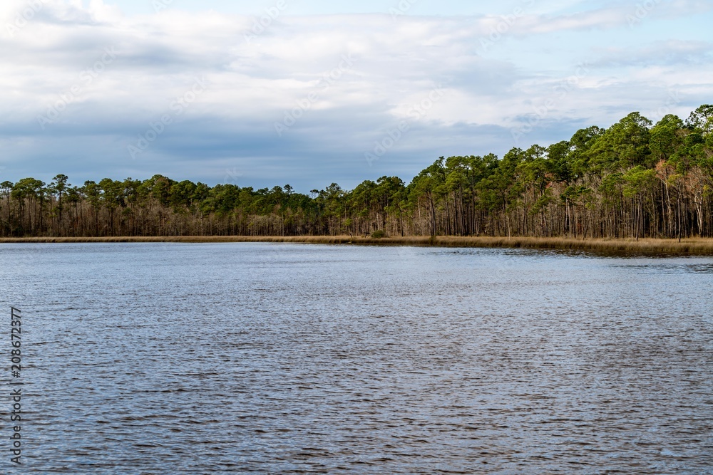 Tarkiln Bayou Preserve State Park near Pensacola Florida is a must see if your in the area, beauty everywhere you look.