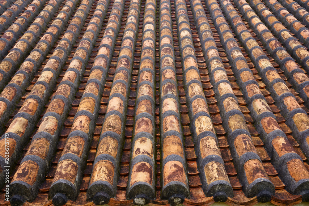 Fototapeta premium 沖縄の瓦屋根