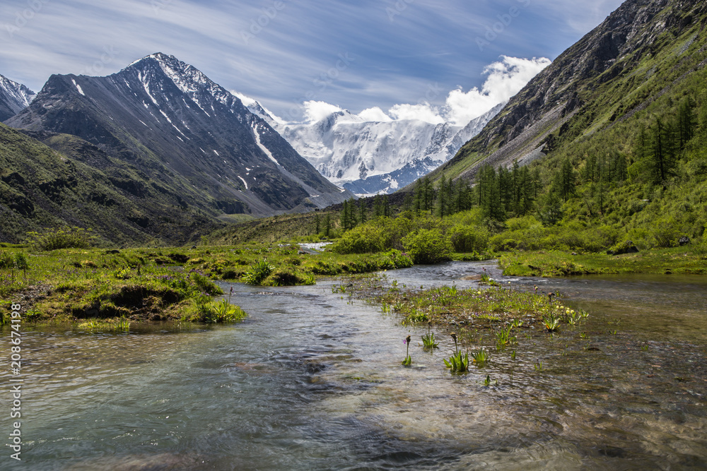 View to the highest Altai mountain peak Beluha from the Akkem valley, Russia View to the highest Altai mountain peak Beluha from the Akkem valley, Russia