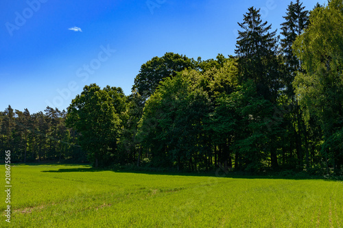 Fototapeta Naklejka Na Ścianę i Meble -  Polish landscape