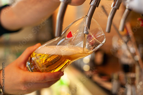 Fototapeta Naklejka Na Ścianę i Meble -  The barman pours a light beer from the tap