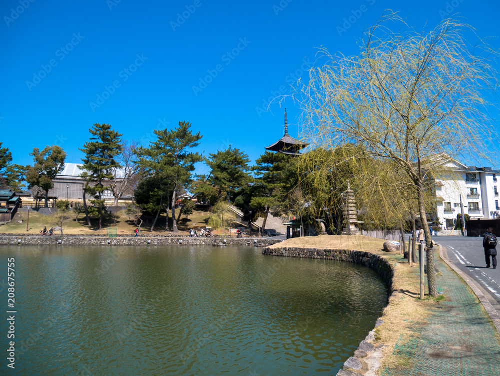 Obraz premium 興福寺