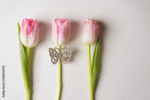 tulips on the white background