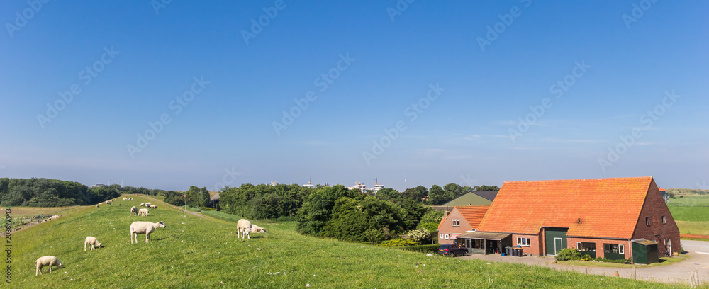 Panorama of a dike and a farm in Texel, The Netherlands