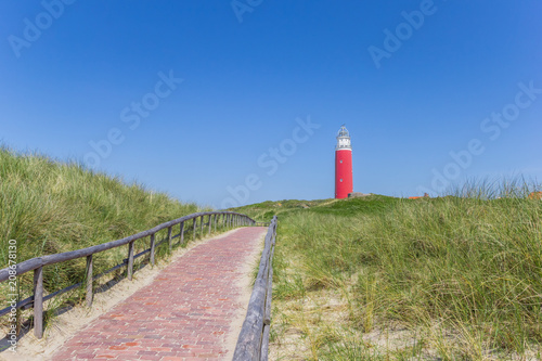 Path leading to the lighthouse on Texel island  The Netherlands