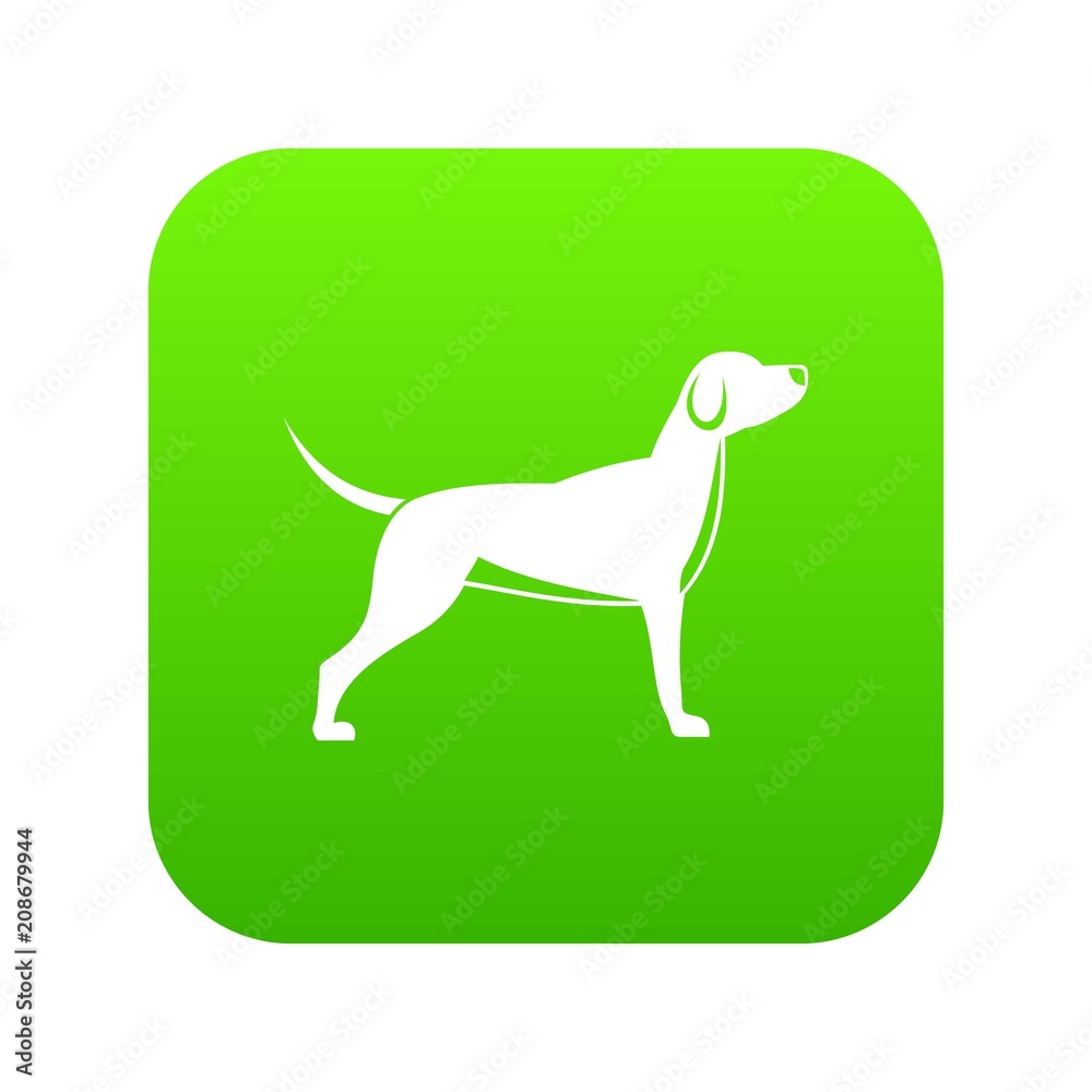 Dog icon digital green for any design isolated on white vector illustration