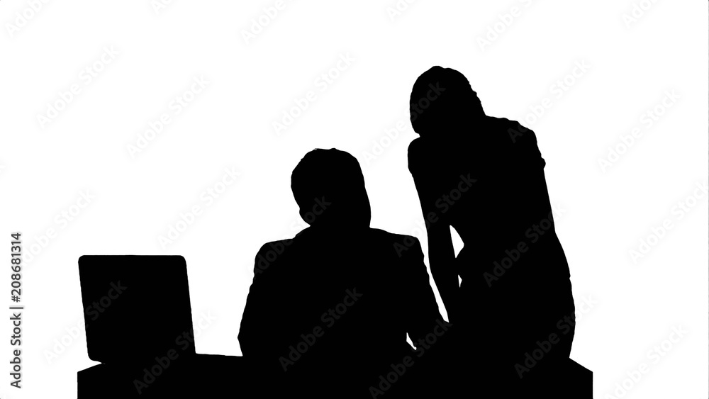 Silhouette Businesswoman standing in the office presenting a document to her boss sand signature. Silhouette Businesswoman standing in the office presenting a document to her boss sand signature.
