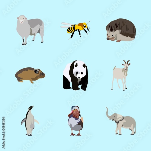 animals icons set