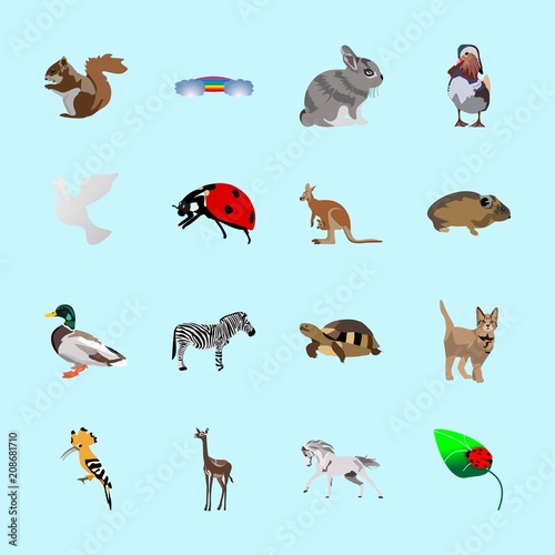 animals icons set © Orxan