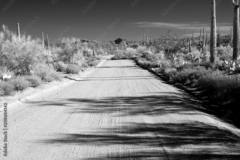 Infrared Arizona dirt road