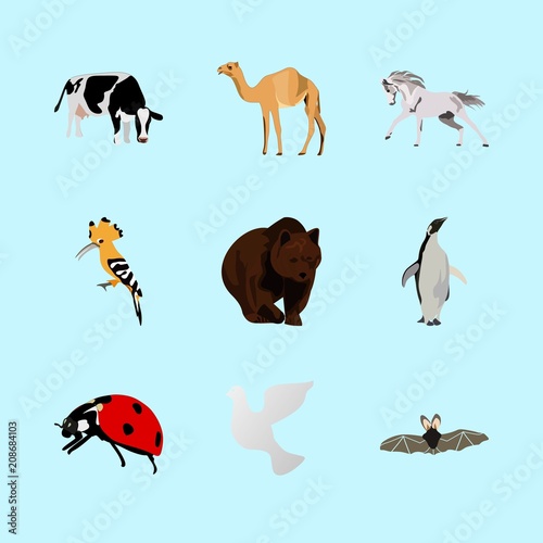 animals icons set