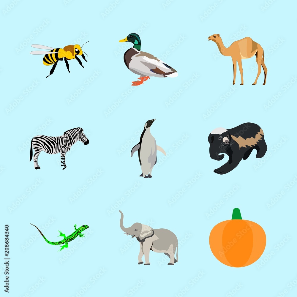 Fototapeta premium animals icons set
