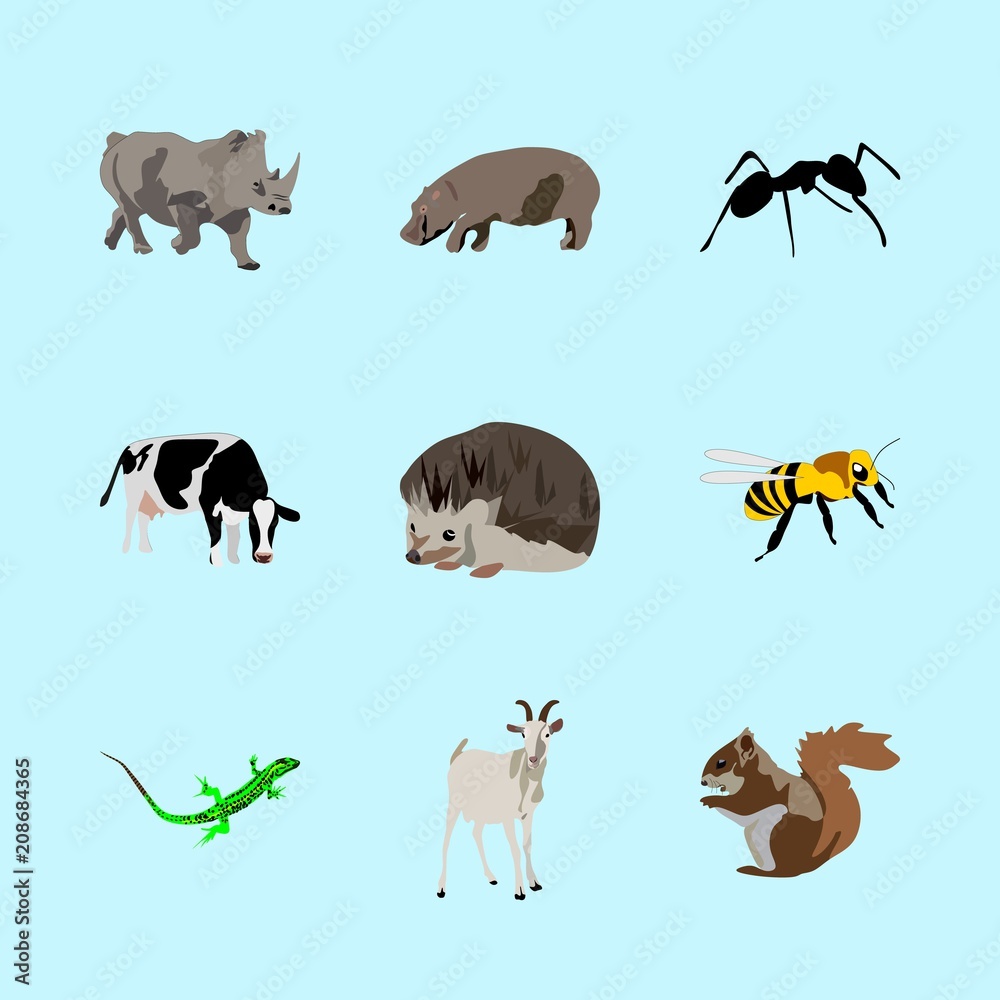 Obraz premium animals icons set