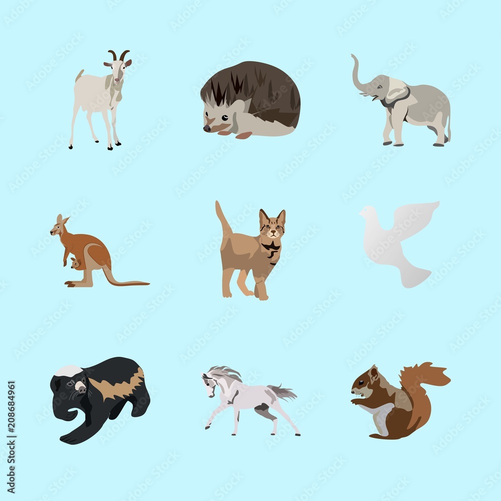 Obraz premium animals icons set