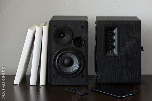 Wallpaper Mural bookshelf speakers Torontodigital.ca