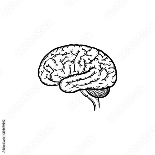 Human brain hand drawn outline doodle icon. Brain as a concept of intelligence and smart way of thinking vector sketch illustration for print, web, mobile and infographics isolated on white background