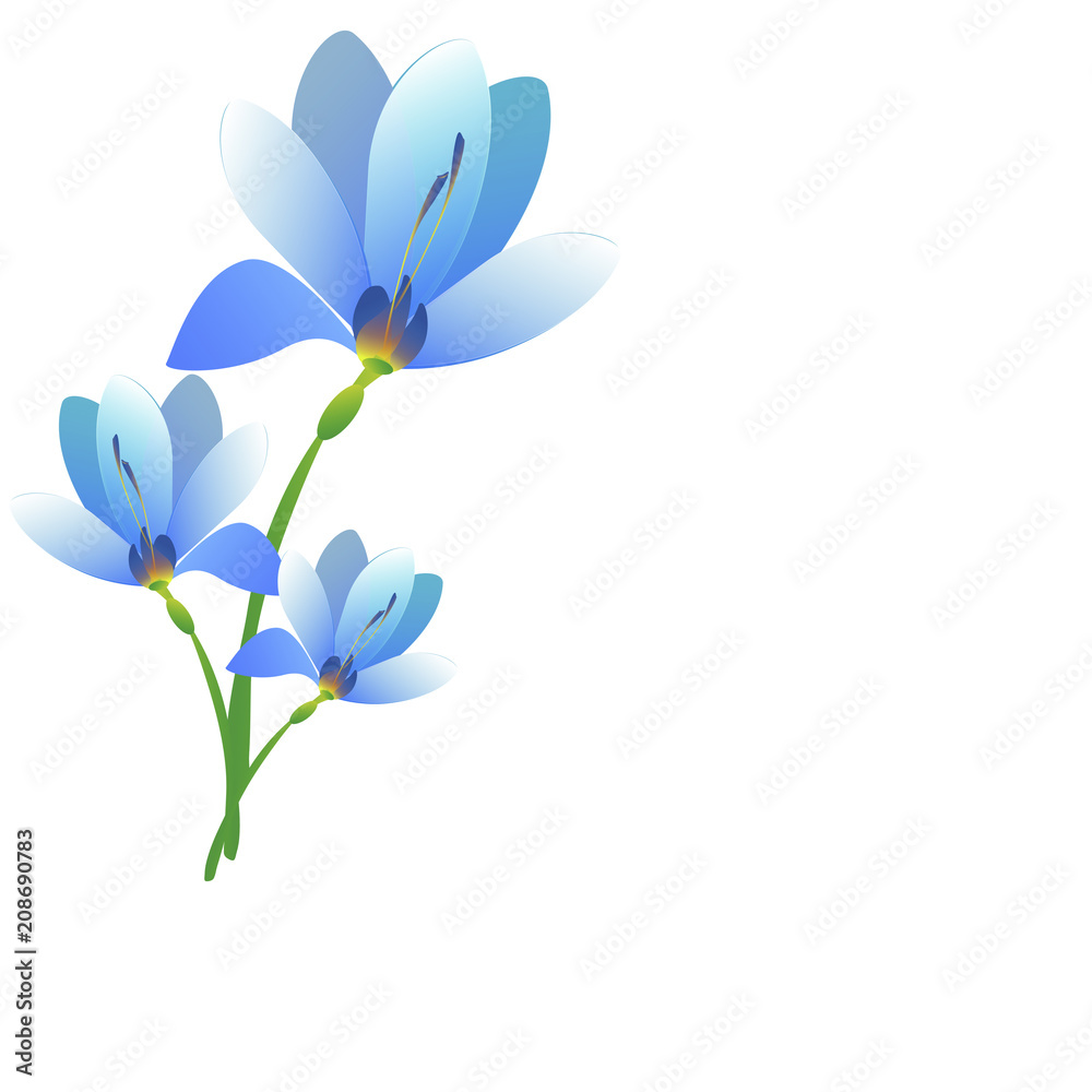 Naklejka premium beautiful flowers