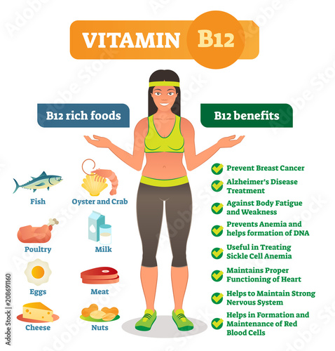 Vitamin B12 rich food icons and health benefits list, healthy lifestyle informative poster. Vector illustration with healthy female.