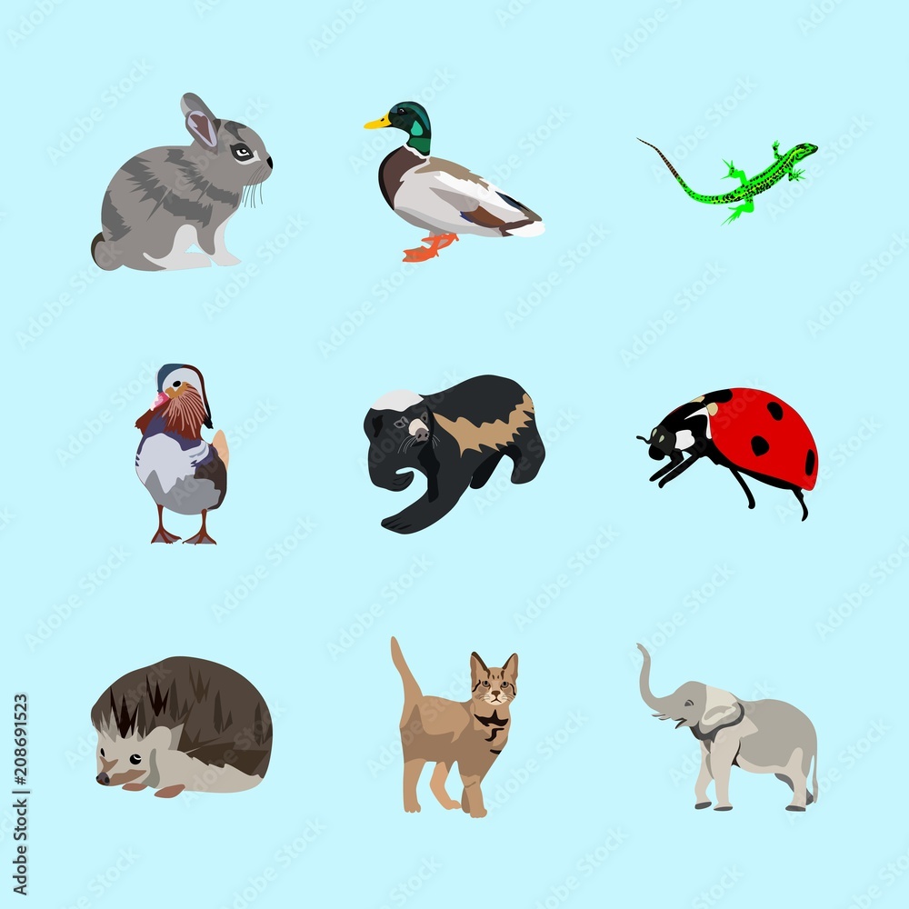 Fototapeta premium animals icons set