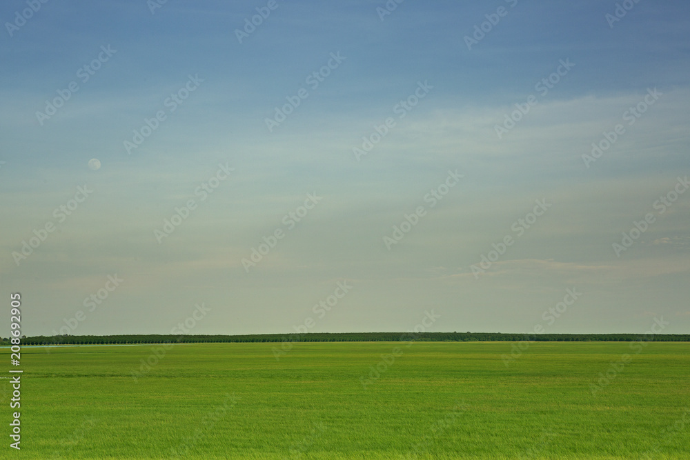Green meadow with blue sky with clouds
