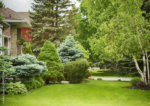 Fotografia, Obraz Home garden in summer time.