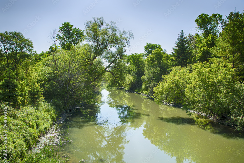 Fototapeta premium Holland river in the summer park, Ontario, Canada