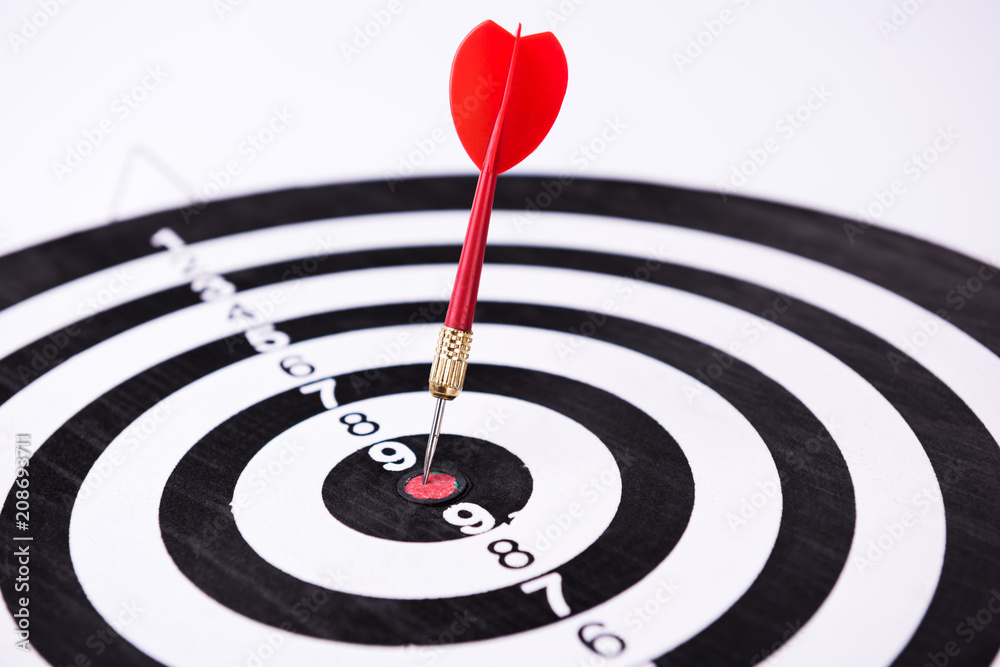 Darts Board. Darts arrows. Dartboard, entertainment. Darts Board. Darts arrows. Dartboard, entertainment.