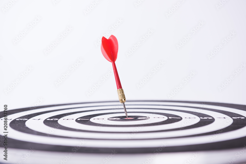 Darts Board. Darts arrows. Dartboard, entertainment. Darts Board. Darts arrows. Dartboard, entertainment.