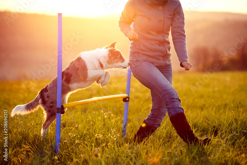 Hundesport Agility mit Hürden, Hund und Frau springen über Hindernis, Sonnenaufgang photo
