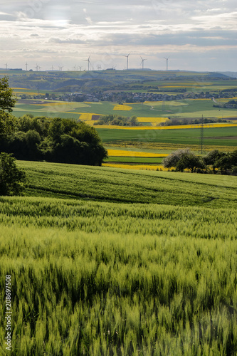 Canola fields and wind farms in the Rhineland, Germany