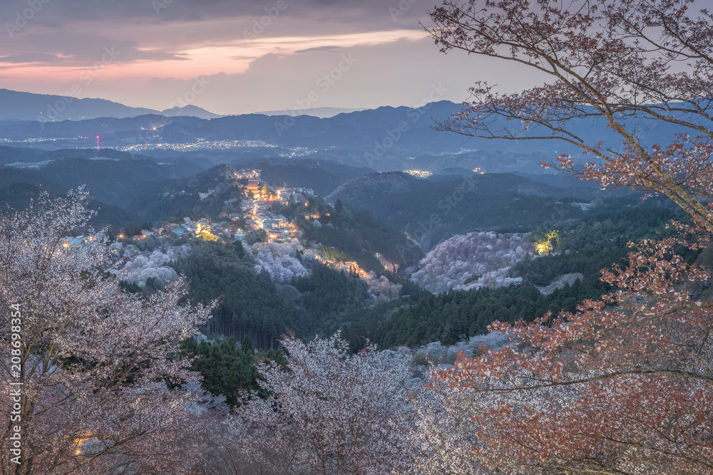 Yoshinoyama sakura cherry blossom with light up. Mount Yoshino  in Nara Prefecture, Japan's most famous cherry blossom viewing spot