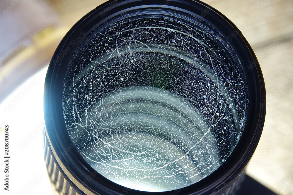 Foto de Fungus on a camera lens do Stock | Adobe Stock