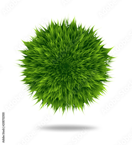 Green fluffy pompom or hair ball isolated on white background. Vector illustration.