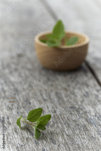 Herb Oregano in a bowl on rustic wooden