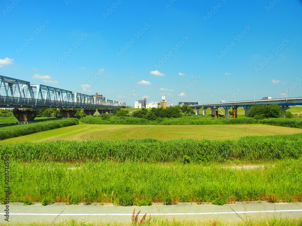 Obraz premium 武蔵野線鉄橋と流山橋のある風景