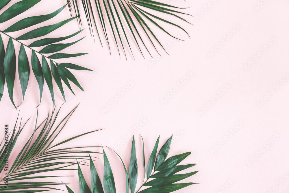 Tropical palm leaves on pastel pink background. Summer concept. Flat lay,  top view, copy space Stock Photo | Adobe Stock