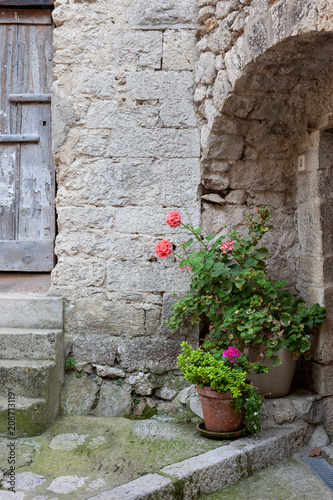 Pretty flowers in pots next to a wooden door in Peillon, France © Melinda