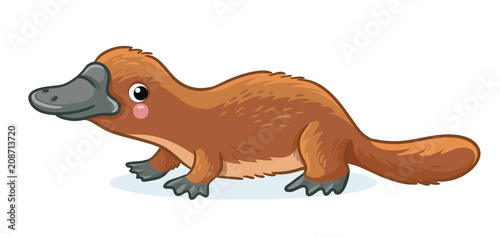 Platypus on a white background. Lovely Australian animal. Vector illustration in childrens style.