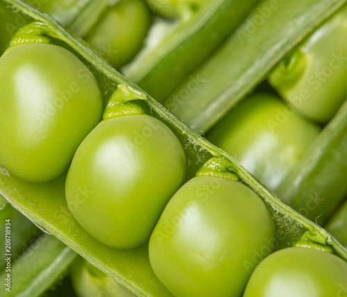 green peas in legume - close up