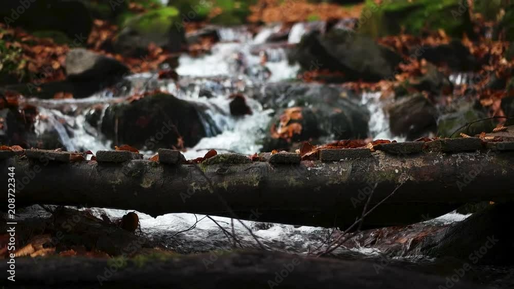 Autumn in the forest mountain stream. Beautiful autumn forest, rocks covered with moss. Mountain river with rapids and waterfalls. View of beautiful creek during the autumn time. Autumn in the forest mountain stream. Beautiful autumn forest, rocks covered with moss. Mountain river with rapids and waterfalls. View of beautiful creek during the autumn time.