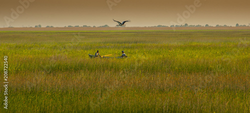 Nature in the Danube Delta near Letea and Sfistofca
