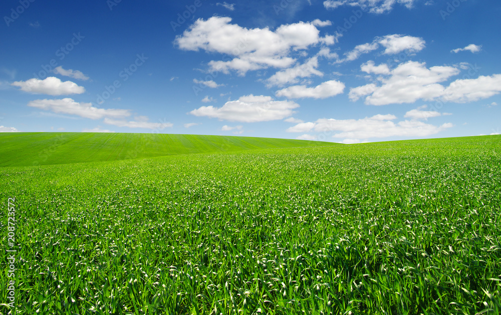 green field and clouds green field and clouds